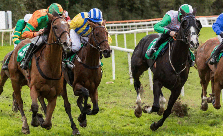 A Guide to Horse Racing Track Betting: Types of Bets and How They Work