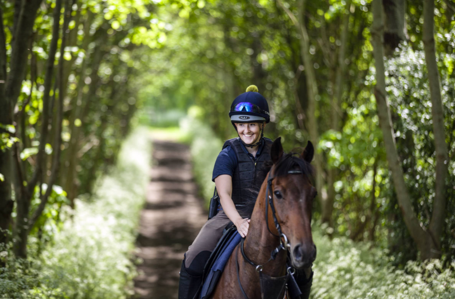 Behind the Scenes: The Life of a Racehorse Trainer