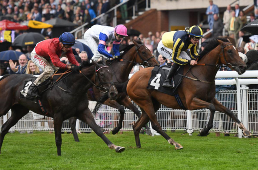 Betting Strategies for Horse Racing: How to Maximize Your Chances of Winning